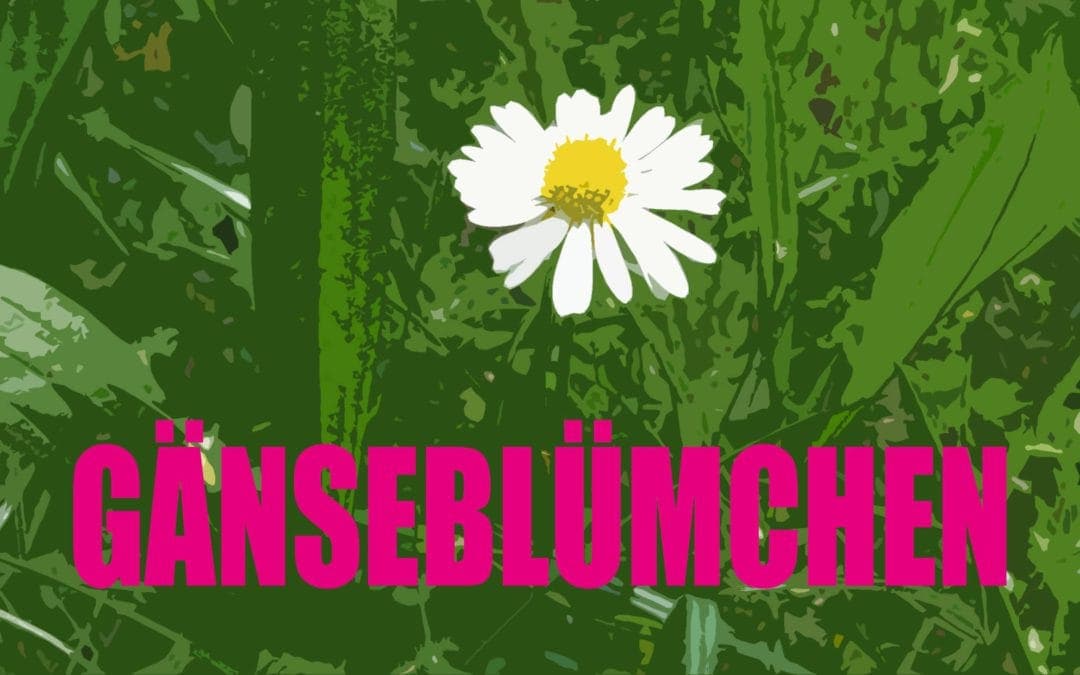 Welttag der Poesie